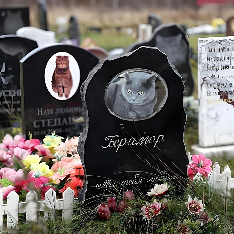 কোন কাস্টমাইজেশন বিকল্পগুলি বেসিক নামের বাইরে পোষা মেমোরিয়াল ফলকগুলিকে উন্নত করে?